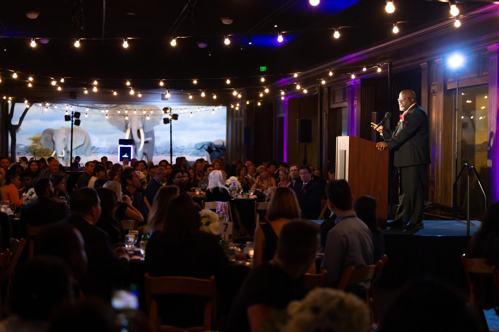A speaker addressing a full dinner gala under string lights